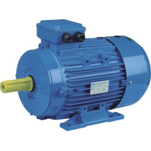 LTP MS-Serie Mehrphasenmotor